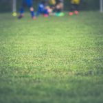 pexels-photo-104675